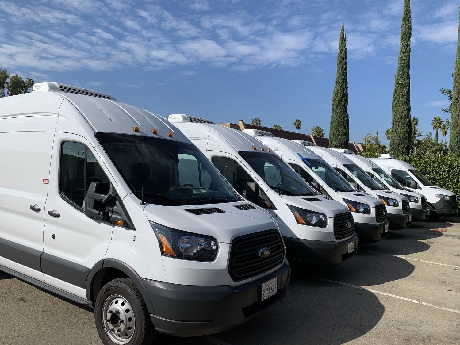 Row of white refrigerated van rental vans lined up in a fleet parked outdoors under a blue sky